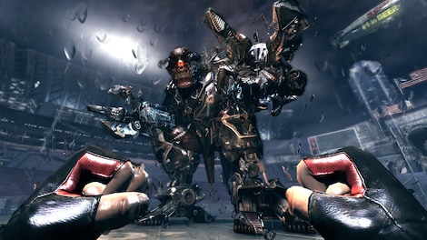 Duke Nukem Forever Collection Steam Gift GLOBAL - 9
