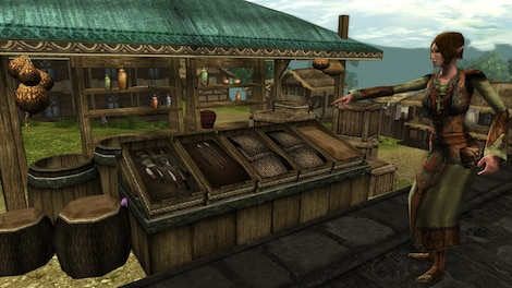 Dungeons & Dragons Online: Menace of the Underdark Base Edition DDO Key GLOBAL - 2