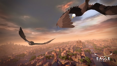 Eagle Flight Steam Gift EUROPE - 11