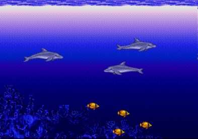 Ecco the Dolphin Steam Gift GLOBAL - 0