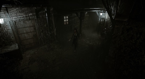 Echoes of the Living (PC) - Steam Key - GLOBAL - 3