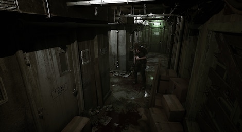 Echoes of the Living (PC) - Steam Key - GLOBAL - 12