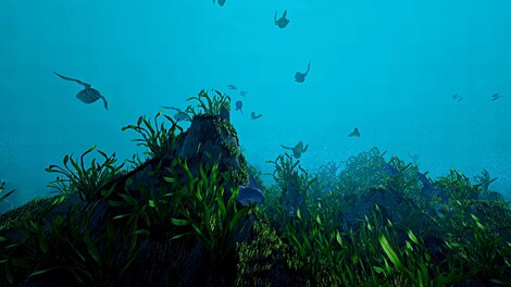 Ecosystem (PC) - Steam Gift - EUROPE - 8