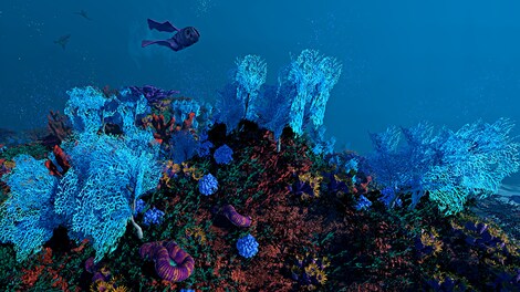 Ecosystem (PC) - Steam Gift - NORTH AMERICA - 4