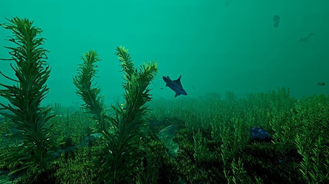 Ecosystem (PC) - Steam Key - CIS - 13