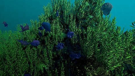 Ecosystem (PC) - Steam Key - CIS - 6