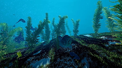 Ecosystem (PC) - Steam Key - EUROPE - 15