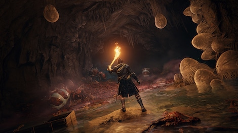 Elden Ring (PS5) - PSN Key - EUROPE - 17