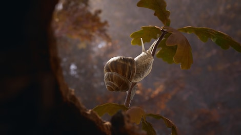 Empire of the Ants | Digital Deluxe Edition (PC) - Steam Key - GLOBAL - 5