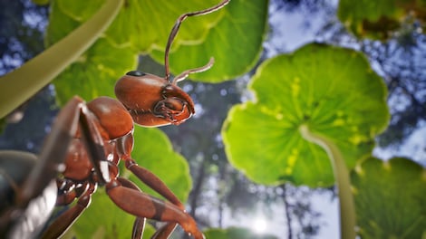 Empire of the Ants (PC) - Steam Key - GLOBAL - 3