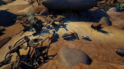 Empires of the Undergrowth - Exploding Ants (PC) - Steam Key - EUROPE - 10
