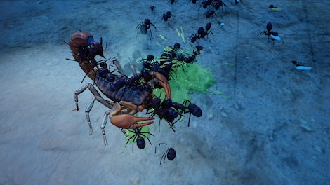 Empires of the Undergrowth - Exploding Ants (PC) - Steam Key - EUROPE - 8
