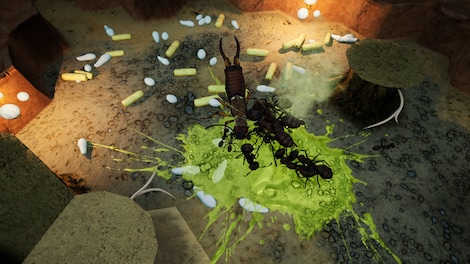 Empires of the Undergrowth - Exploding Ants (PC) - Steam Key - EUROPE - 3