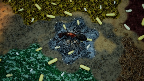 Empires of the Undergrowth - Exploding Ants (PC) - Steam Key - EUROPE - 11