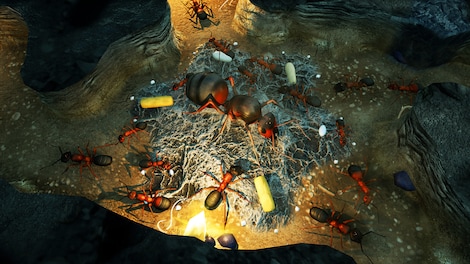 Empires of the Undergrowth (PC) - Steam Gift - NORTH AMERICA - 4