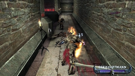 Enclave Gold Edition Steam Key CIS - 12