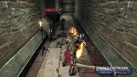 Enclave Gold Edition Steam Key RU/CIS - 4