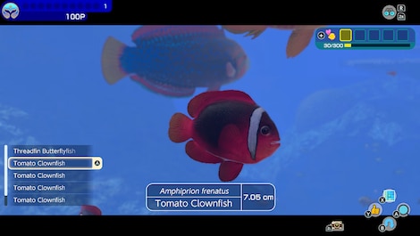 Endless Ocean: Luminous (Nintendo Switch) - Nintendo eShop Account - GLOBAL - 3
