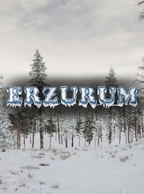 Erzurum (PC) - Steam Gift - NORTH AMERICA - 1