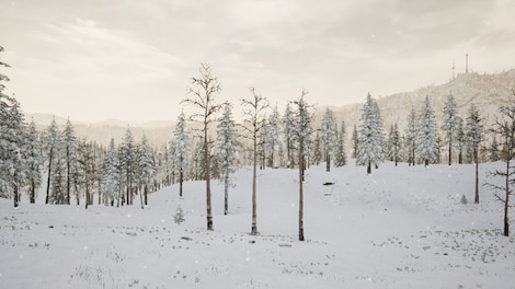 Erzurum (PC) - Steam Gift - NORTH AMERICA - 12