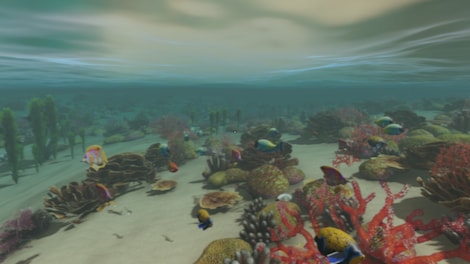 Escape The Pacific Steam Key GLOBAL - 5