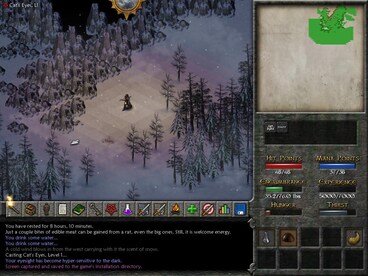 Eschalon: Book II Steam Key GLOBAL - 13
