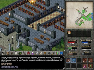 Eschalon: Book II Steam Key GLOBAL - 12
