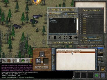 Eschalon: Book II Steam Key GLOBAL - 8