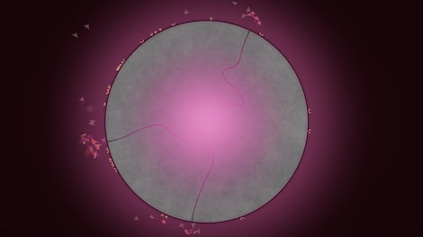Eufloria HD Steam Key GLOBAL - 3