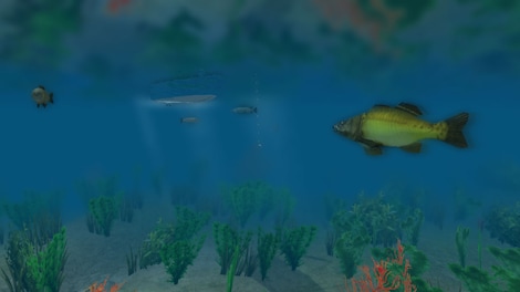 European Fishing - Steam Key - GLOBAL - 5
