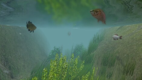 European Fishing - Steam Key - GLOBAL - 0