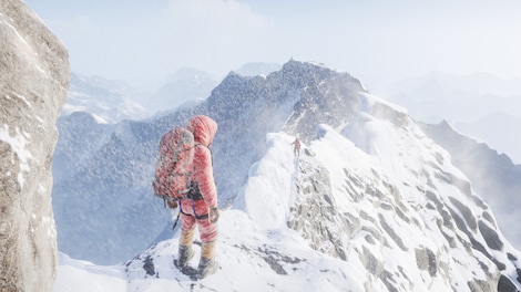 EVEREST VR Steam Key GLOBAL - 6