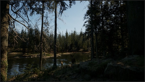 Evergreen: Mountain Life Simulator (PC) - Steam Key - GLOBAL - 6
