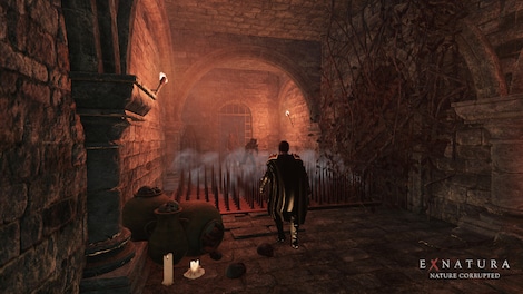 Ex Natura: Nature Corrupted (PC) - Steam Key - GLOBAL - 10