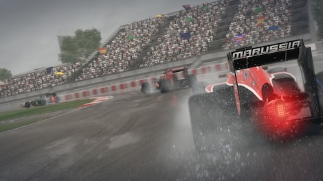 F1 2013 Steam Key CIS - 15