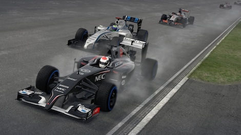 F1 2014 Steam Key CIS - 10