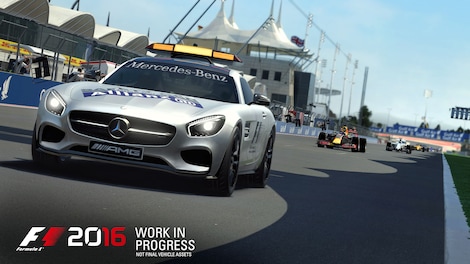 F1 2016 (PS4) - PSN Key - NORTH AMERICA - 13