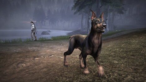 Fable III - Dog Breed Set Steam Gift GLOBAL - 4