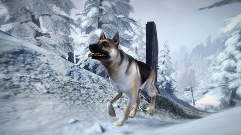Fable III - Dog Breed Set Steam Gift GLOBAL - 3