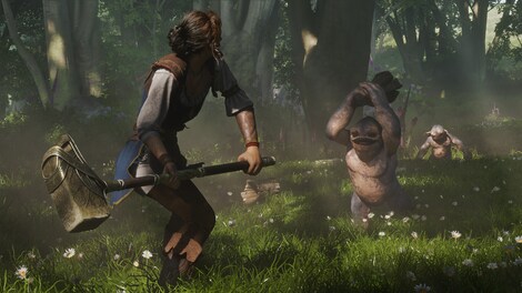 Fable | Premium Edition (Xbox Series X/S, PC) - Xbox Live Account - GLOBAL - 14