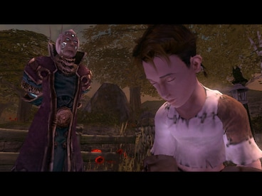 Fable: The Lost Chapters Steam Gift CIS - 10