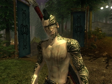 Fable: The Lost Chapters Steam Gift CIS - 8
