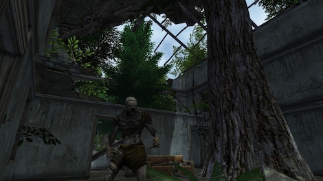 Fallen Earth - Survivalist Package Steam Key GLOBAL - 4