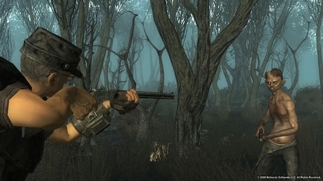 Fallout 3 - Point Lookout Steam Gift GLOBAL - 5