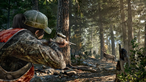 Far Cry 5 - Deluxe Edition Ubisoft Connect Key (RU ONLY) - 12