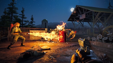 Far Cry 5 + Far Cry New Dawn Deluxe Edition Bundle Steam Gift GLOBAL - 8