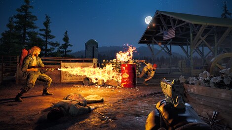 Far Cry 5 + Far Cry New Dawn Deluxe Edition Bundle Steam Key GLOBAL - 8