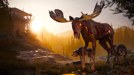 Far Cry 5 + Far Cry New Dawn Deluxe Edition Bundle (Xbox One) - Xbox Live Key - UNITED STATES - 20