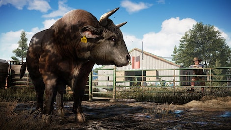 Far Cry 5 (PC) - Steam Account - GLOBAL - 6