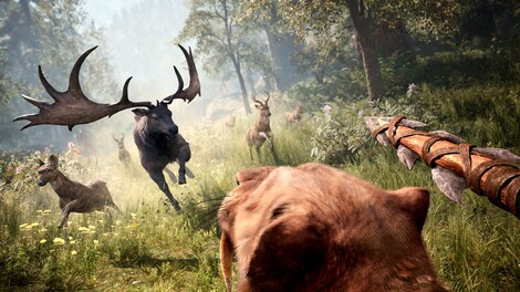 Far Cry Primal (PC) - Microsoft Store Key - EUROPE - 8